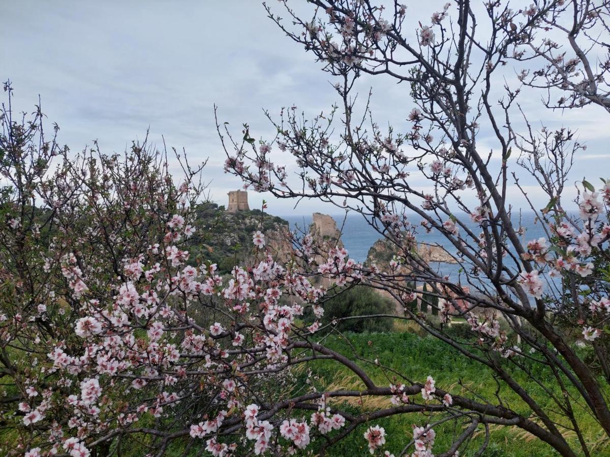Piccola Baia Scopello (Sicily) Exterior foto